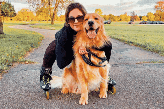 Tucker  The Golden Retriever on Instagram: “Taught lazy Linda a